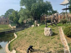 -石家庄市动物园