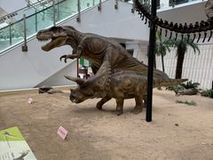 -天津自然博物馆
