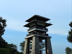 -大湾区中央湿地公园
