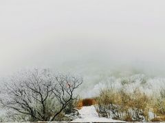 -大觉寺-停车场