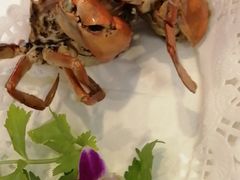 -友强·23年特色海鲜大排档(厦门店)