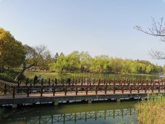 -尚贤河湿地