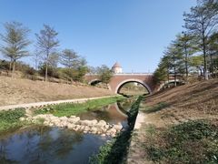 -松山湖南湖湾露营营地