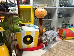 -MARSMART PETS火星宠物超市(1733店)
