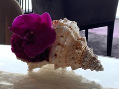 -广州四季酒店·佰鲜汇·现代法餐