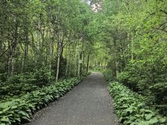 -黑龙江省森林植物园