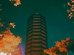 -西海子公园