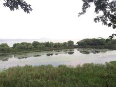 -上海市保健医疗中心(华东疗养院)