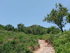 -阳台山自然风景区