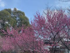 -太子山公园(园东路)