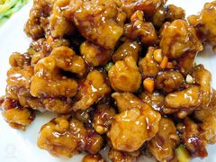-林之六八·6886大连老菜馆