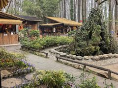 -林间山庄