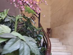 -清雅轩·清真菜·春饼•烤鸭(滑翔店)
