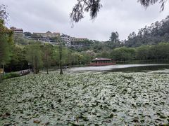 -顺峰山公园
