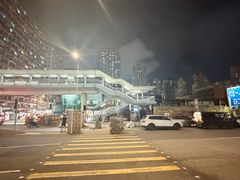 -油麻地果栏