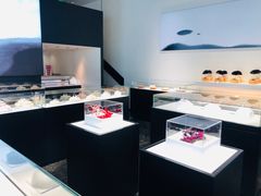 -BLACKSWAN黑天鹅(环球店)