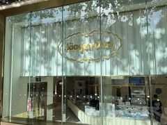 -哈根达斯(武汉天地店)