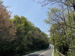 -宝界山林公园