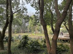 -同里国家湿地公园