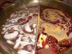 -九鼎轩脆毛肚火锅(三钢里店)