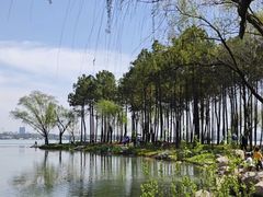 -渤公岛生态公园