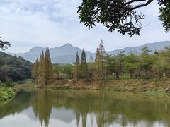-田野绿世界