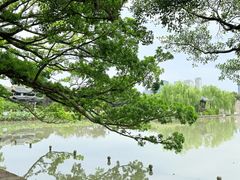 -江心屿景区