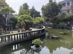 -碧江金楼