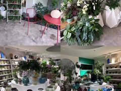 -自由生长植物工作室(深港花卉中心店)