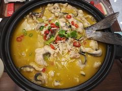 -鲁宴·鲁煨黄河生态大鲤鱼(月坛店)