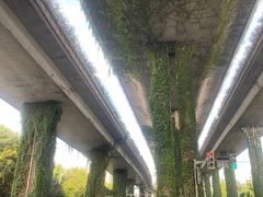 -花锦堂·隐庐