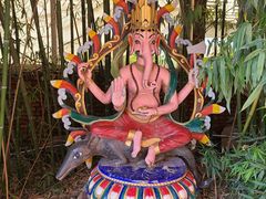 -呀路古热带植物园