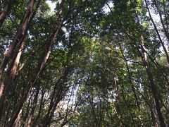 -艾溪湖湿地公园