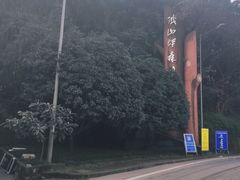 -铁山坪森林公园