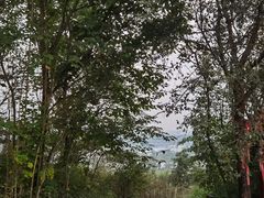 -飞天山旅游区