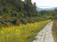 -塔川景区