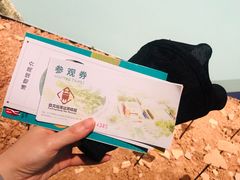 -盘龙城遗址博物院