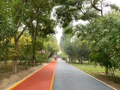 -大兴滨河森林公园