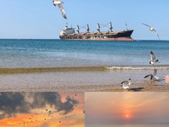 -巧克力渔家.小船海鲜胶东菜(万平口店)