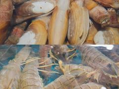 -三亚火车头万人海鲜广场