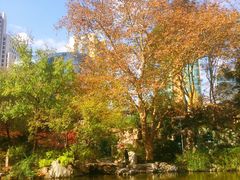 -静安公园(静安寺街道)