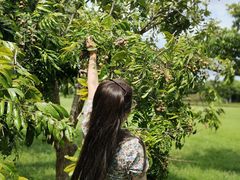 -福建鲤鱼洲酒店