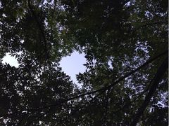 iphone_upload_pic-上海虹桥迎宾馆