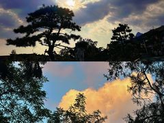 -泰山风景名胜区