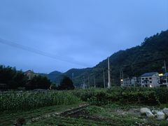 -龙井源餐厅(龙井峡漂流店)