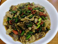 -全乐鱼馆·淳牌有机鱼直营店