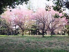 -中国计量大学(西校区)