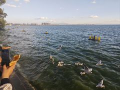 -海埂大坝