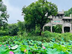 -西溪国家湿地公园