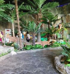 -恐龙探索乐园(磁器口店)